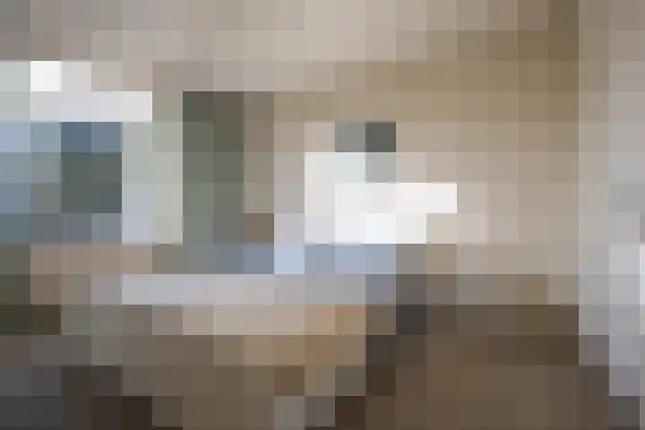 Molenweg 45 Bergharen thumbnail 21