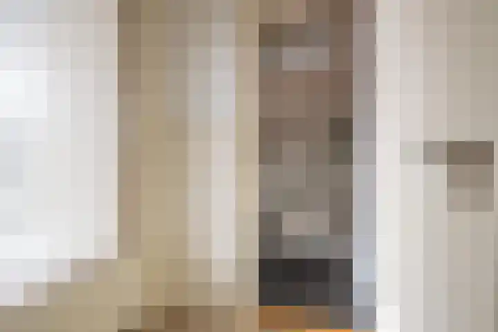 Molenweg 45 Bergharen thumbnail 28