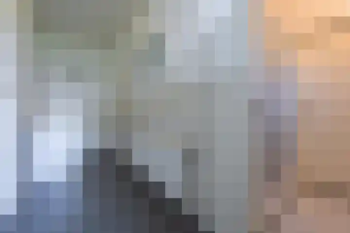 Molenweg 45 Bergharen thumbnail 29