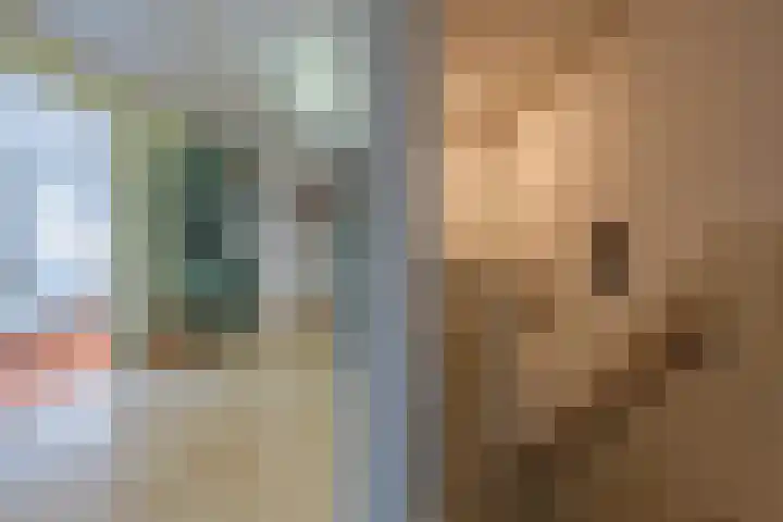 Molenweg 45 Bergharen thumbnail 31