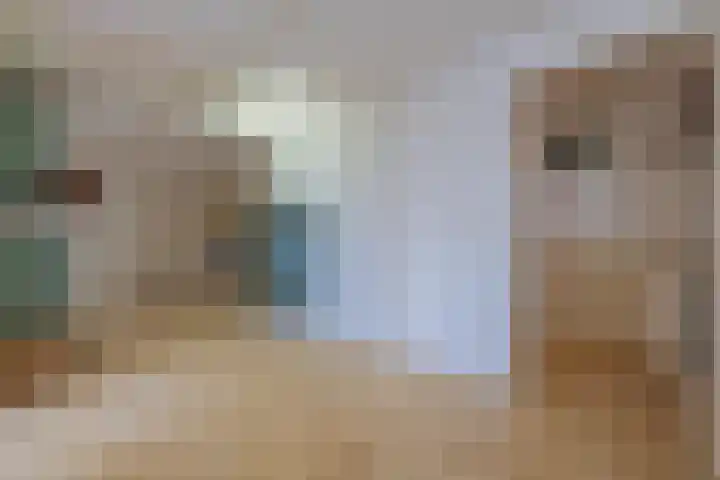 Molenweg 45 Bergharen thumbnail 32