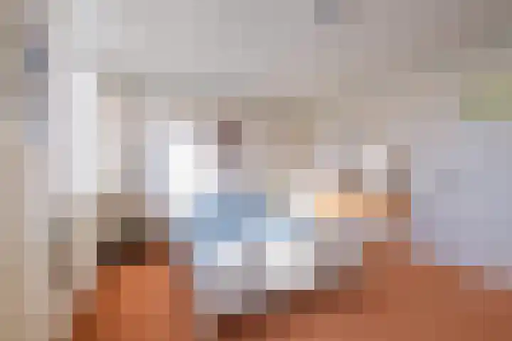 Molenweg 45 Bergharen thumbnail 38