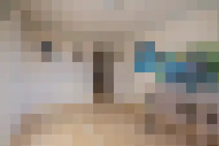 Molenweg 45 Bergharen thumbnail 39