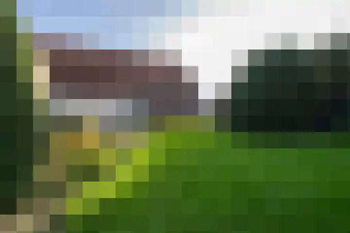 Molenweg 45 Bergharen thumbnail 4