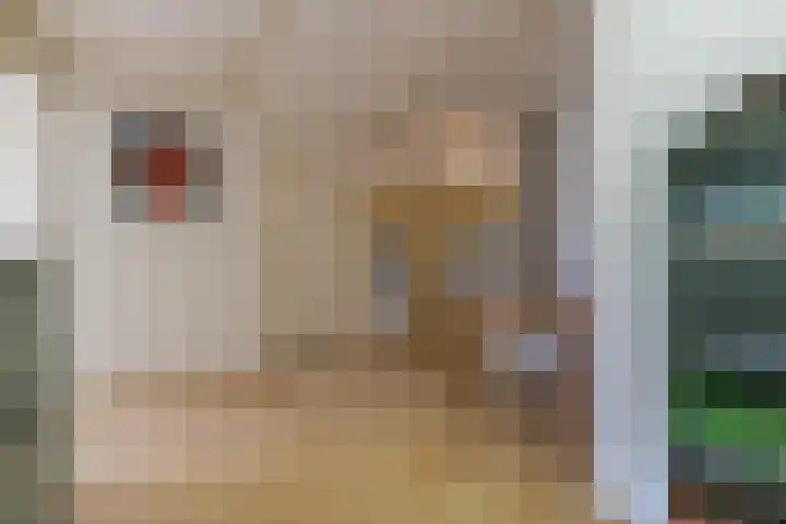 Molenweg 45 Bergharen thumbnail 41