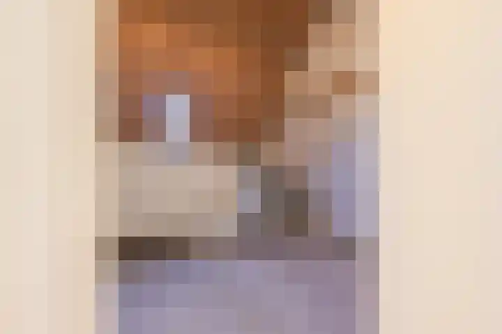 Molenweg 45 Bergharen thumbnail 42