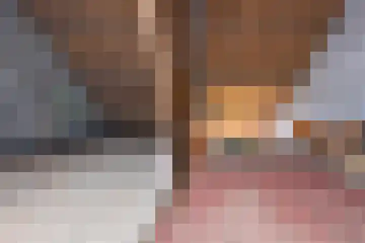 Molenweg 45 Bergharen thumbnail 43