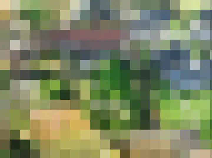 Molenweg 45 Bergharen thumbnail 44