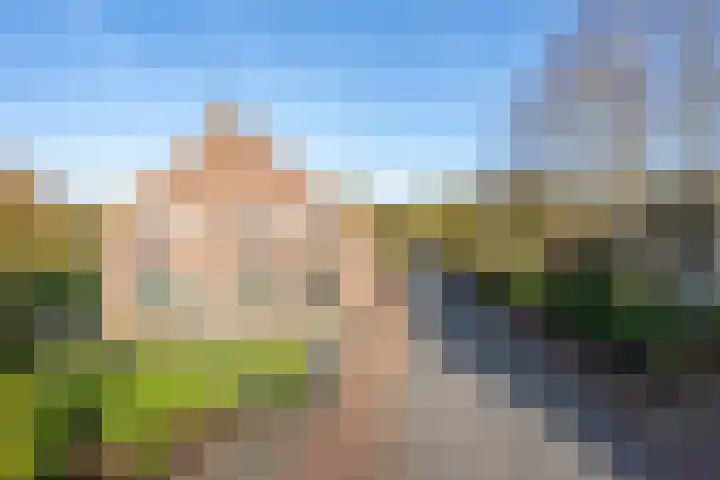 Molenweg 45 Bergharen thumbnail 46