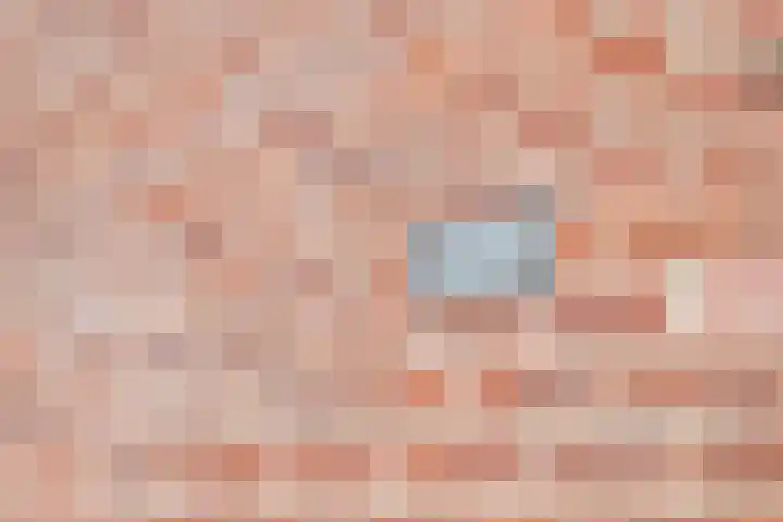 Molenweg 45 Bergharen thumbnail 48