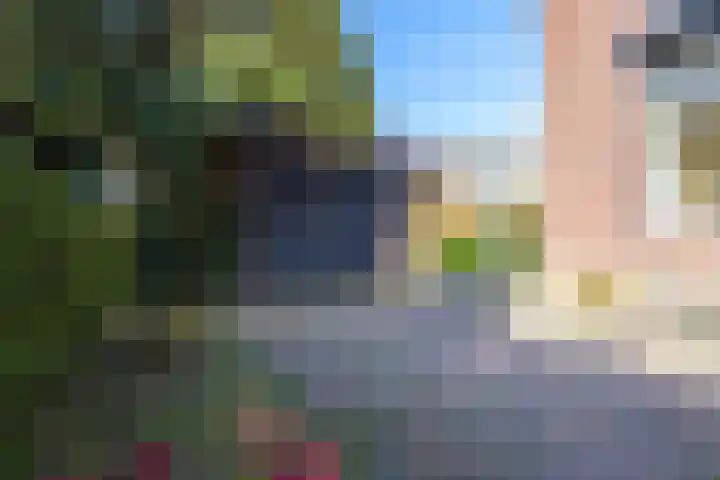 Molenweg 45 Bergharen thumbnail 49