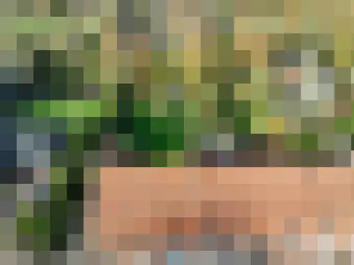 Molenweg 45 Bergharen thumbnail 5