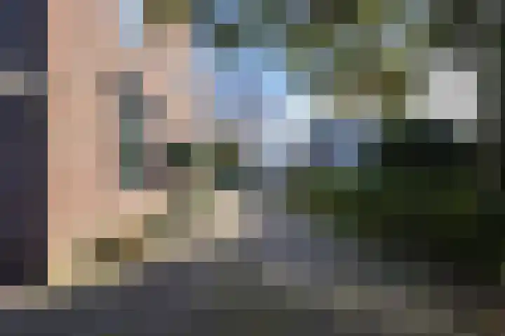 Molenweg 45 Bergharen thumbnail 50