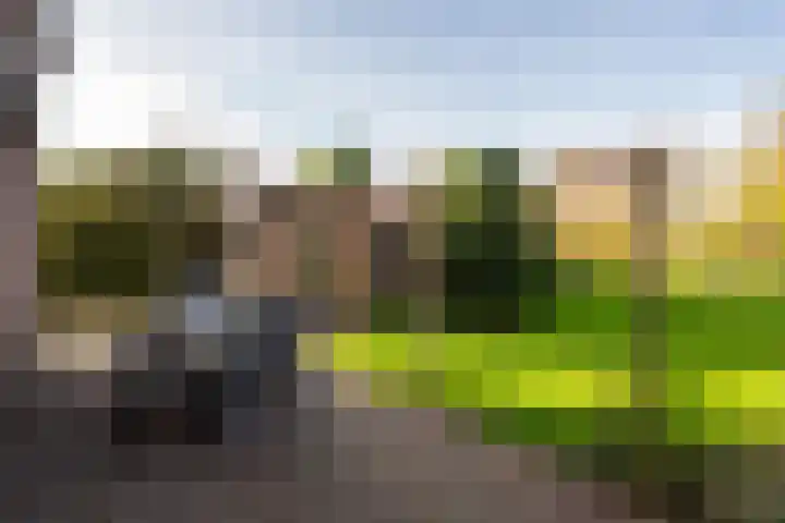 Molenweg 45 Bergharen thumbnail 53