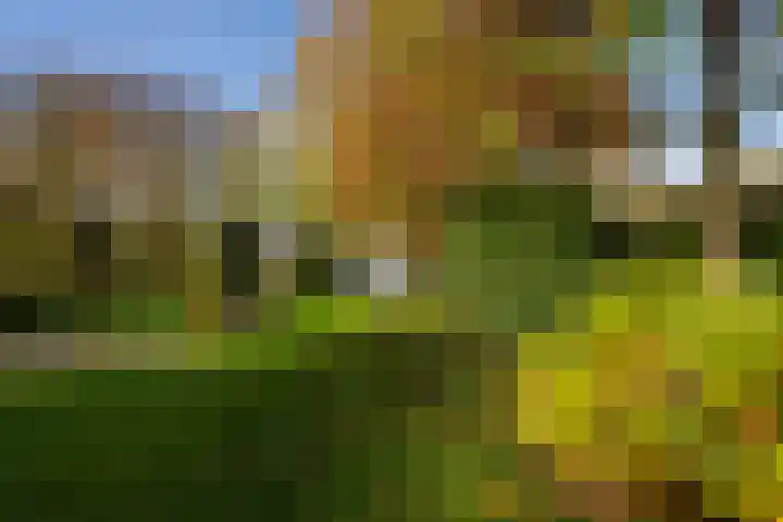 Molenweg 45 Bergharen thumbnail 54