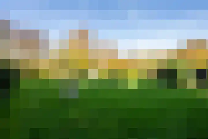 Molenweg 45 Bergharen thumbnail 55