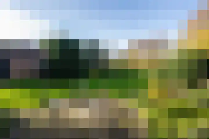 Molenweg 45 Bergharen thumbnail 56
