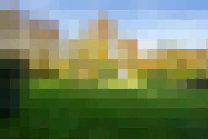Molenweg 45 Bergharen thumbnail 57