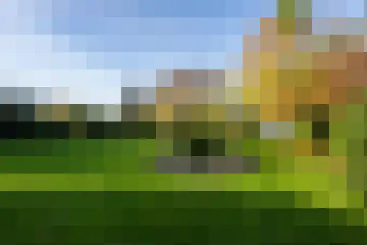 Molenweg 45 Bergharen thumbnail 58