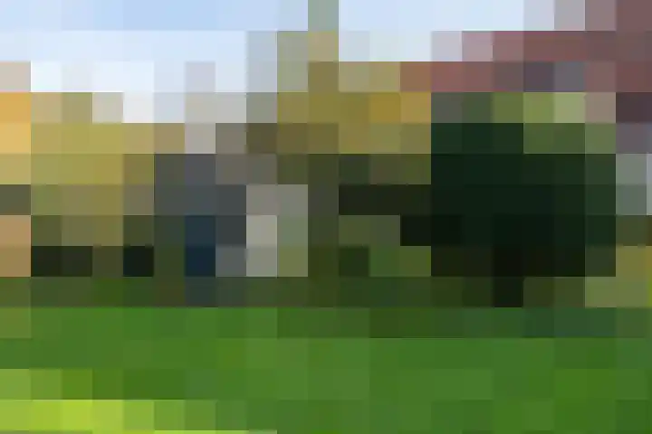 Molenweg 45 Bergharen thumbnail 59