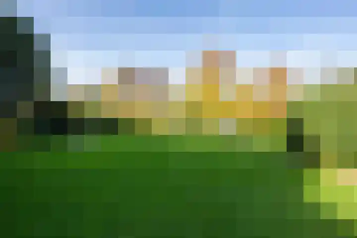 Molenweg 45 Bergharen thumbnail 61