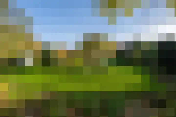 Molenweg 45 Bergharen thumbnail 62