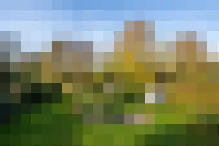 Molenweg 45 Bergharen thumbnail 63