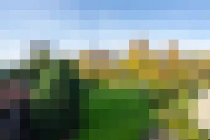 Molenweg 45 Bergharen thumbnail 64