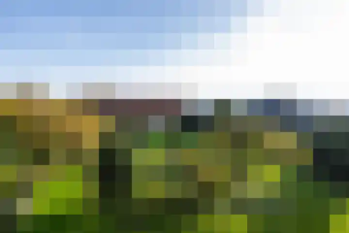 Molenweg 45 Bergharen thumbnail 65