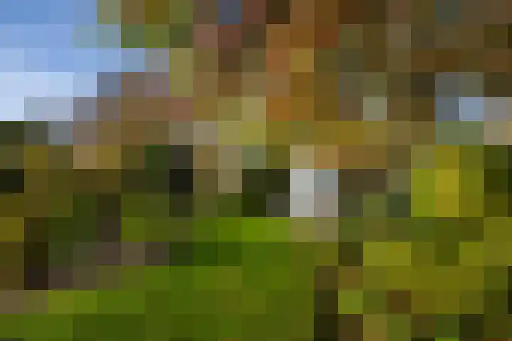 Molenweg 45 Bergharen thumbnail 66