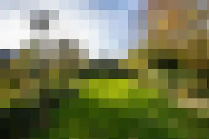 Molenweg 45 Bergharen thumbnail 67