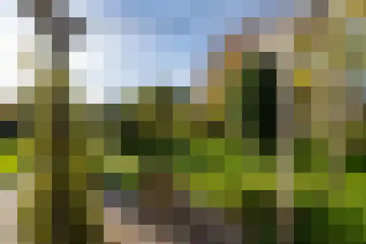 Molenweg 45 Bergharen thumbnail 68
