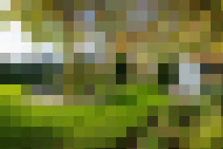 Molenweg 45 Bergharen thumbnail 69