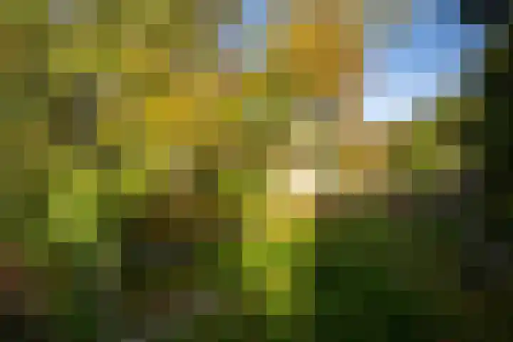 Molenweg 45 Bergharen thumbnail 70