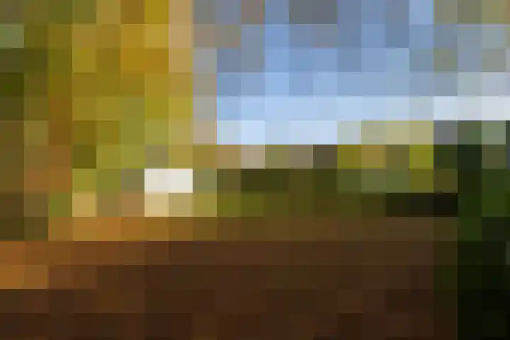 Molenweg 45 Bergharen thumbnail 71
