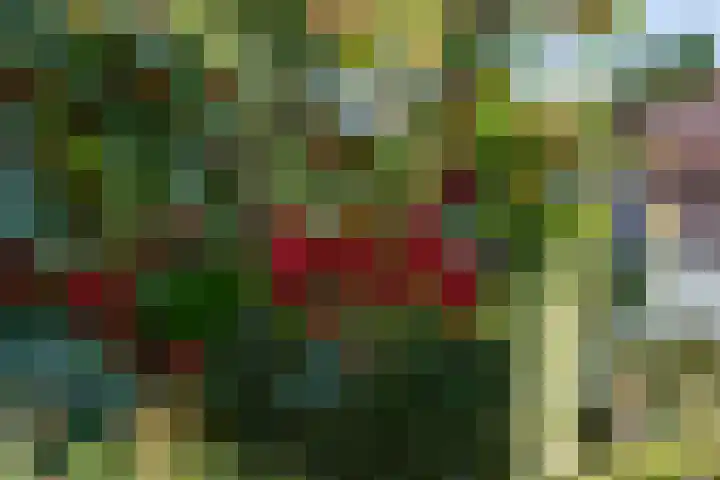 Molenweg 45 Bergharen thumbnail 73