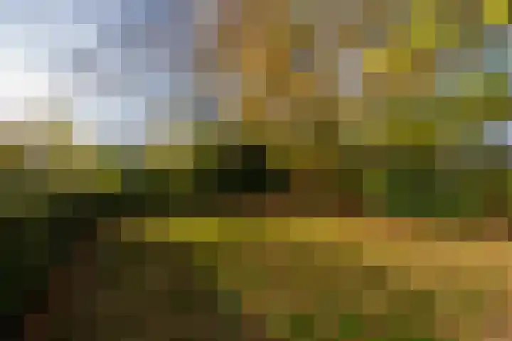 Molenweg 45 Bergharen thumbnail 74