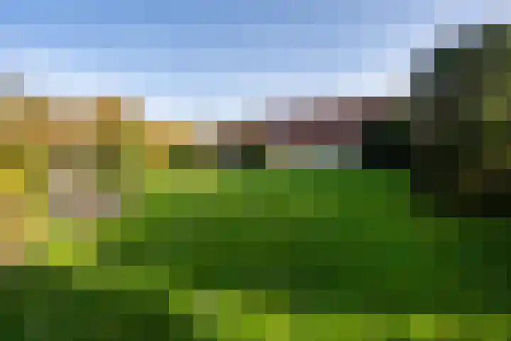Molenweg 45 Bergharen thumbnail 75