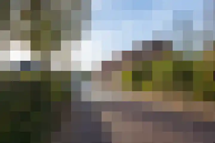 Molenweg 45 Bergharen thumbnail 76