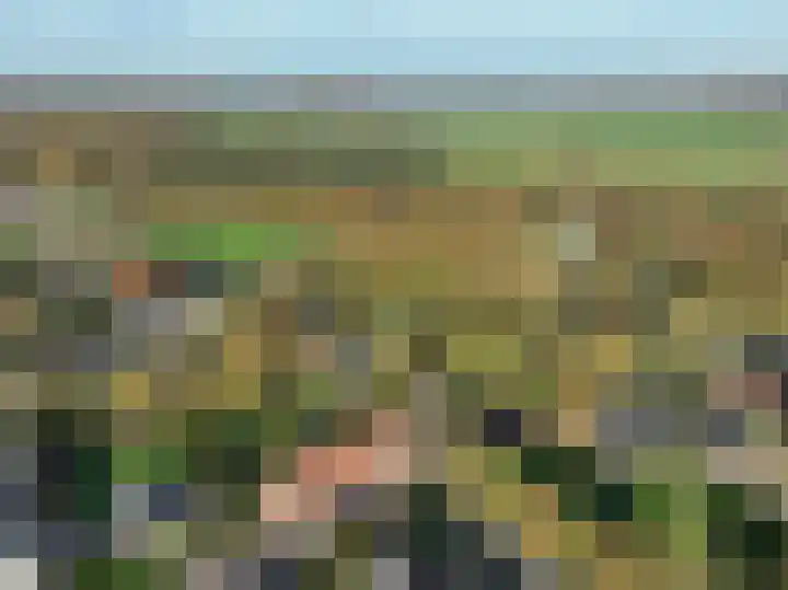 Molenweg 45 Bergharen thumbnail 77