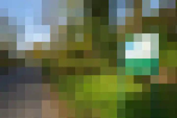 Molenweg 45 Bergharen thumbnail 78