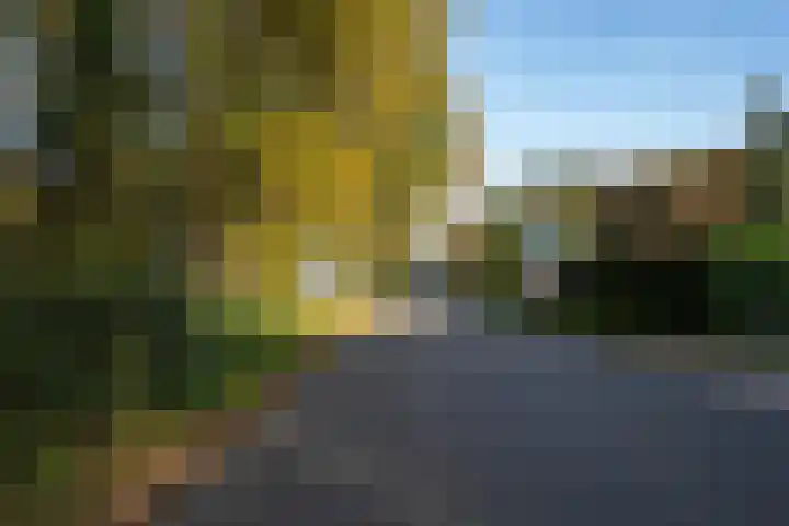 Molenweg 45 Bergharen thumbnail 79