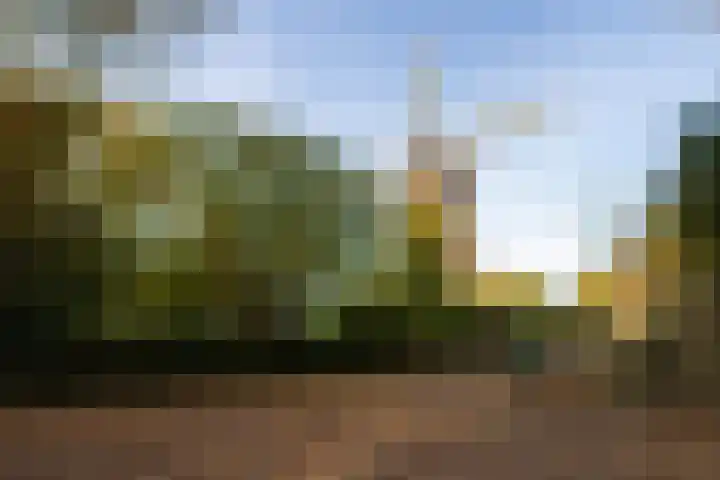 Molenweg 45 Bergharen thumbnail 80