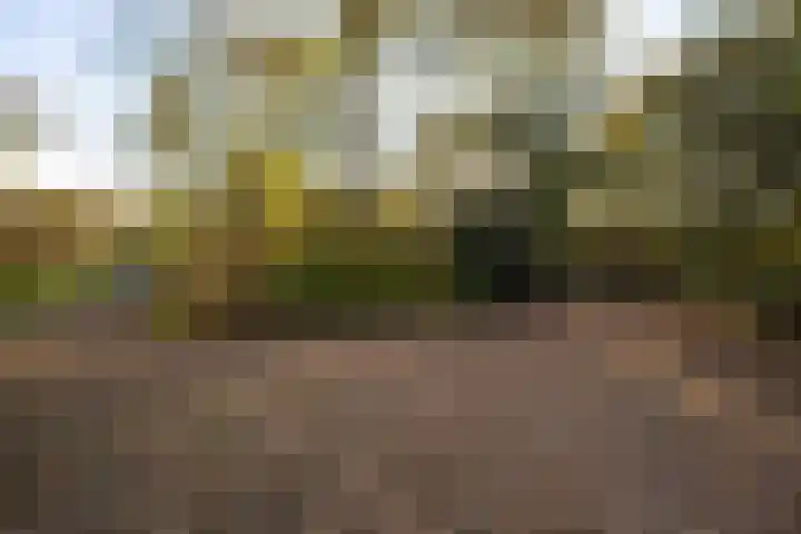 Molenweg 45 Bergharen thumbnail 81