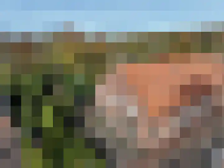 Molenweg 45 Bergharen thumbnail 82