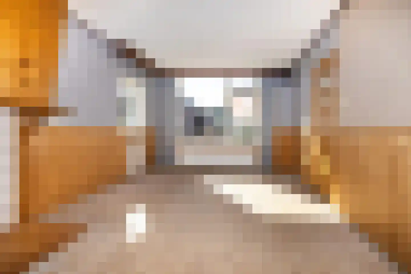 Molenweg 45 Nieuwehorne thumbnail 6