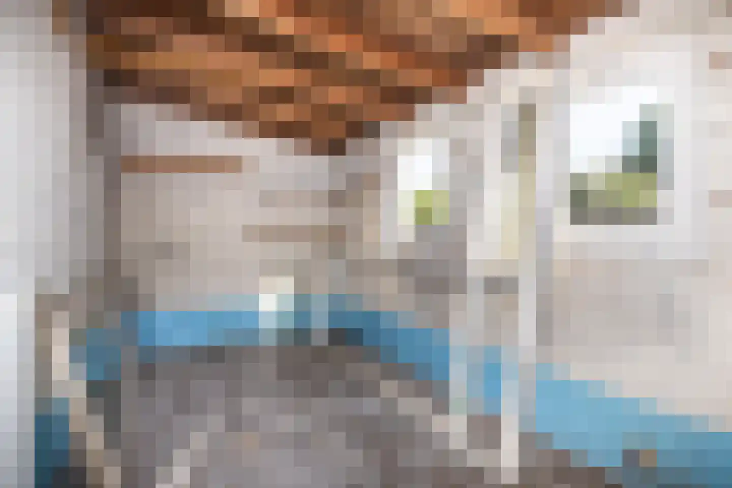 Molenweg 45 Nieuwehorne thumbnail 9