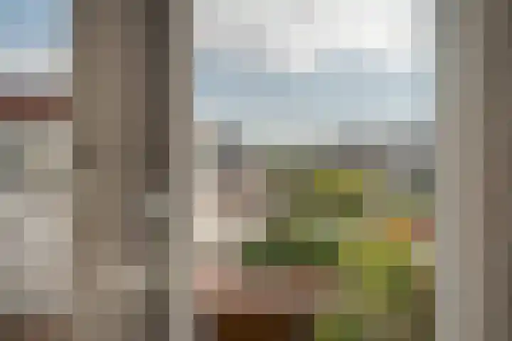 Molenweg 46 Zwolle thumbnail 34