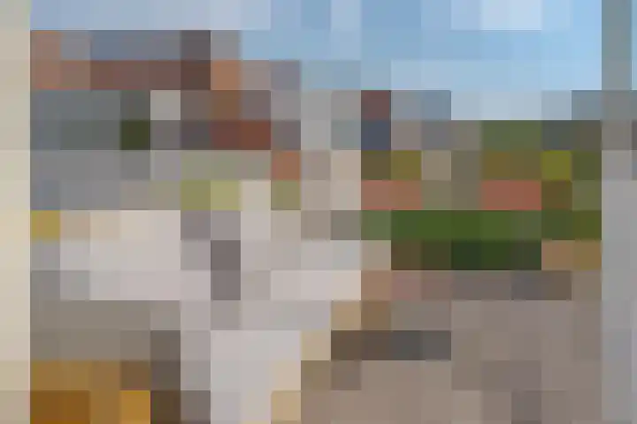 Molenweg 46 Zwolle thumbnail 43