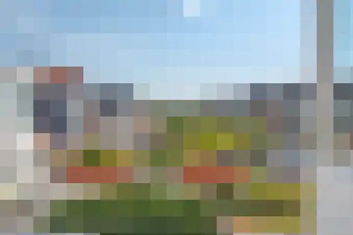 Molenweg 46 Zwolle thumbnail 44